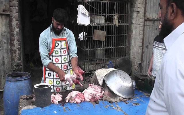 مرغی کے گوشت کی قیمتوں میں مسلسل کمی، شہری پر اطمینان 