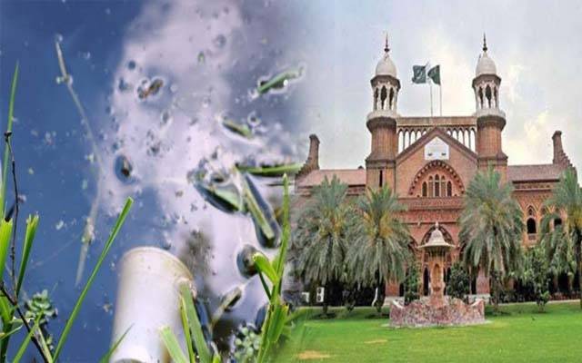 lahore high court