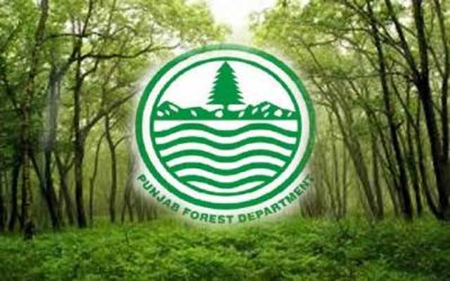 Punjab Forest Department Geographical information lab