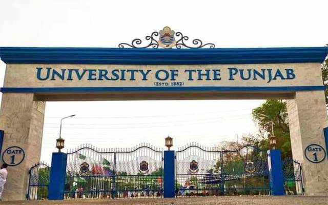 Punjab university