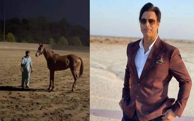 Shoaib Akhtar- Horse