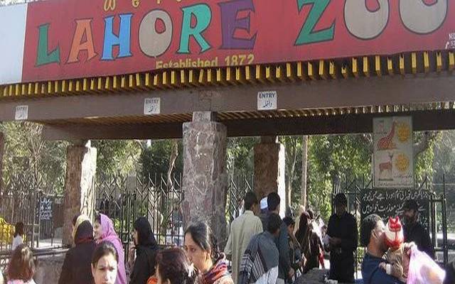 Lahore zoo