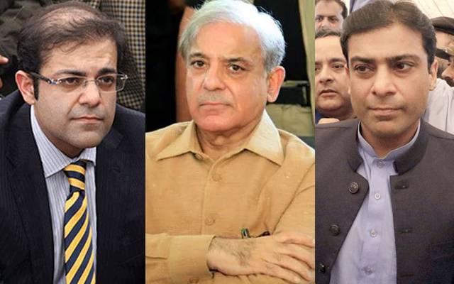 Shahbaz sharif Inquiry Statement