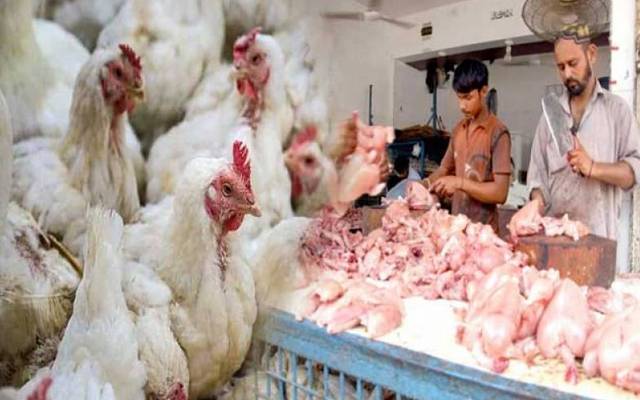 Chicken Price Decrease