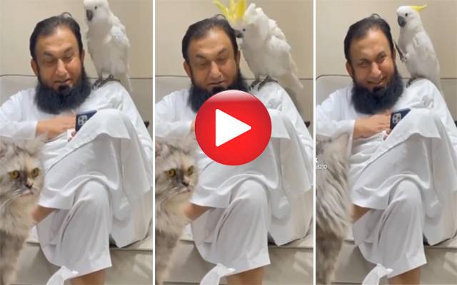 Maulana Tariq Jameel video