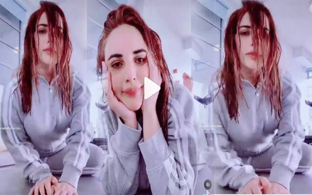 Hareem Shah Video