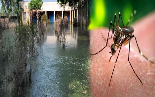 Dengue,Flood,Punjab