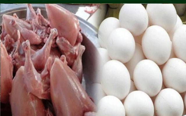 Chicken Meat Today rates