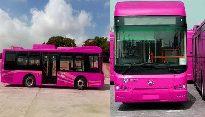 Pink Bus