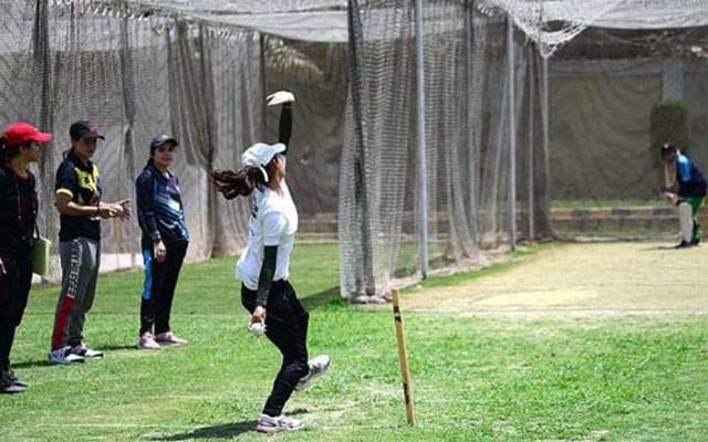 Women cricket, Pakistan Cricket Board, City42 