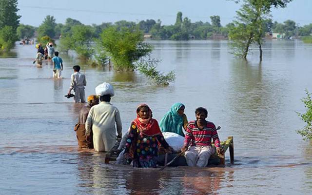 Rains in Sindh, Heavy loses, city42 