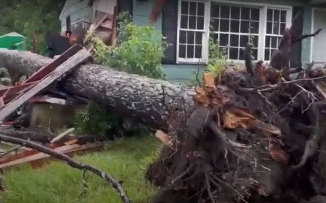 Debby Cyclone, City42, Faloreda, South Carolina, President Joe Biden 