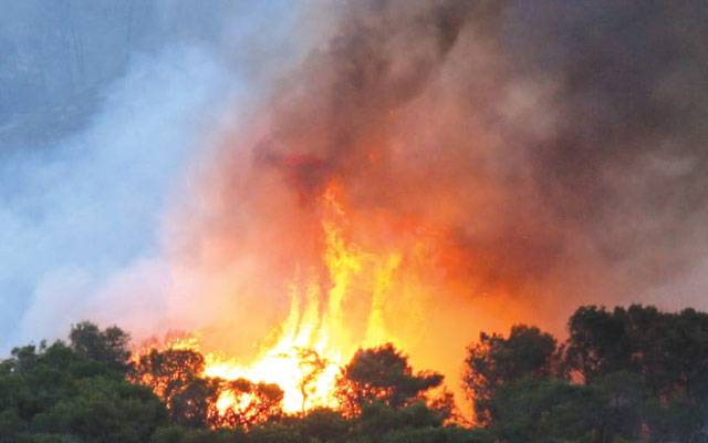 Northern Israel bushfire , city42, natural disaster, man made disaster 