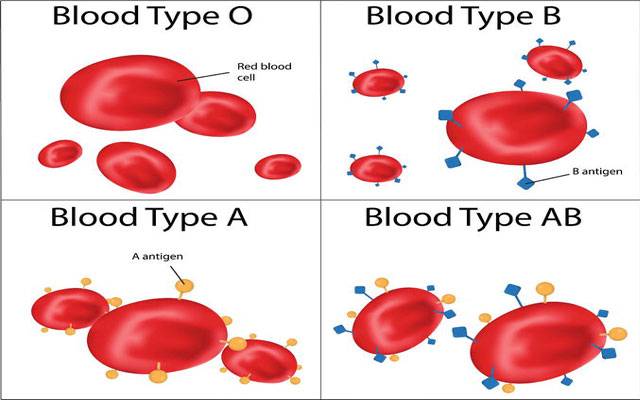 Blood Groups and the disease, city42 