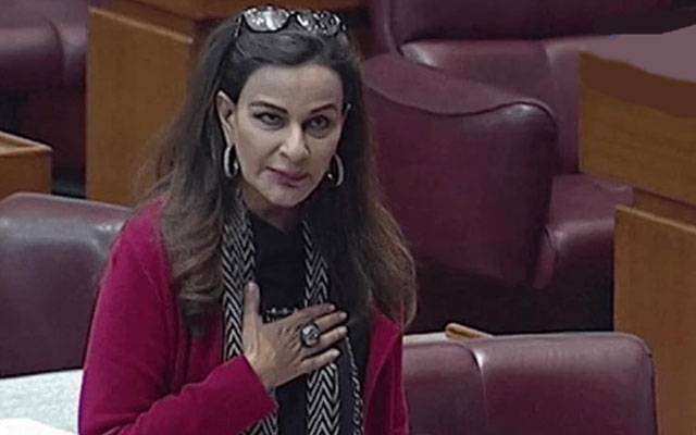 Senator Shery Rehman, Senate, 26th Constitutional Amendment 