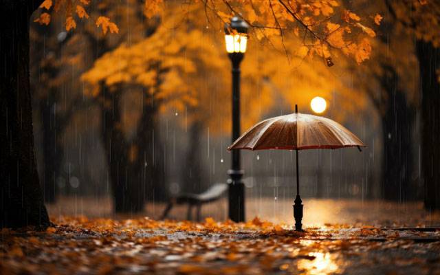 Rain, Mid November Rain, MET Department's forecast, weather forecast, city42 