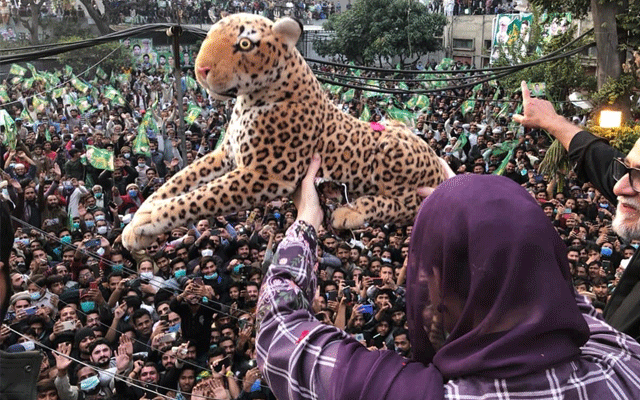 مریم نواز کی ریلی میں شیر لانے والوں کی شامت آگئی