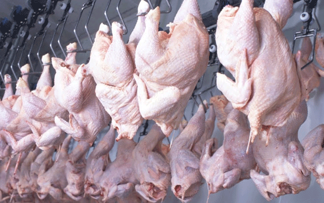 Chicken Meat Today rates