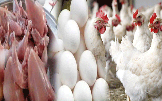 مرغی کے گوشت اور انڈوں کی قیمت میں حیرت انگیز اضافہ