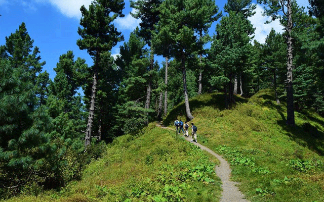 Six tourists gone missing in Abbottabad, City42