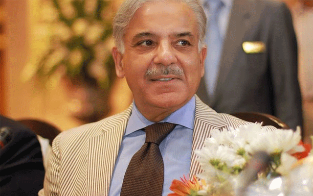 Prime Minister Shahbaz Sharif, City42 , Electricity Protected Consumers, Electricity tariff 