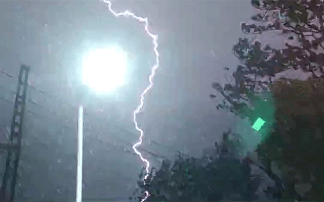 Trees fallen in Lahore, Rain, lightening, Thunderstorm, city42 