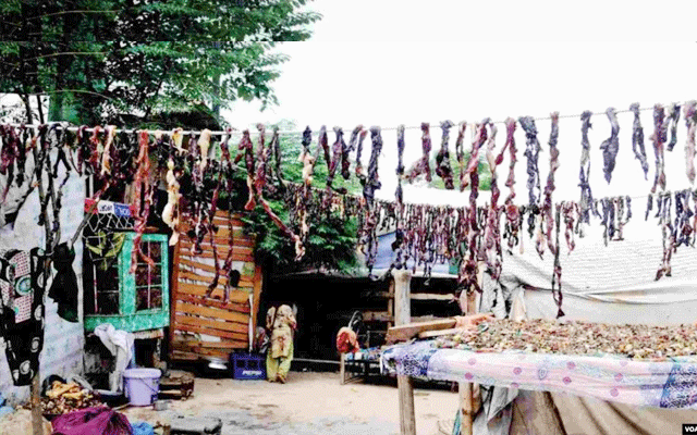 Meat preserving, Gipsy tribes, ancient technique of meat preserving, city42, Lahore, city42, Eid AlAdha, 