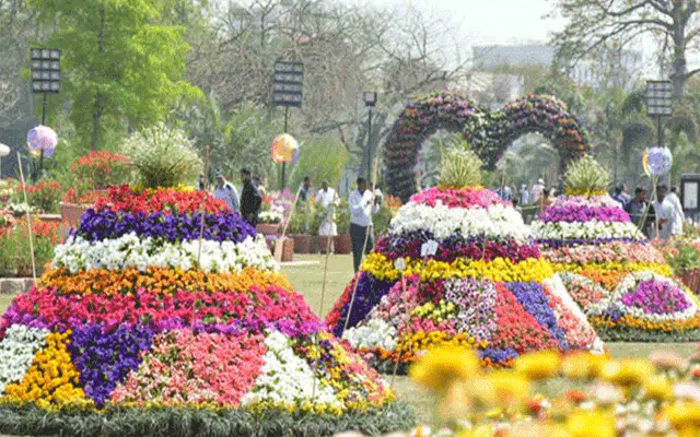 لاہور میں گل داؤدی کی نمائش آب و تاب سے جاری